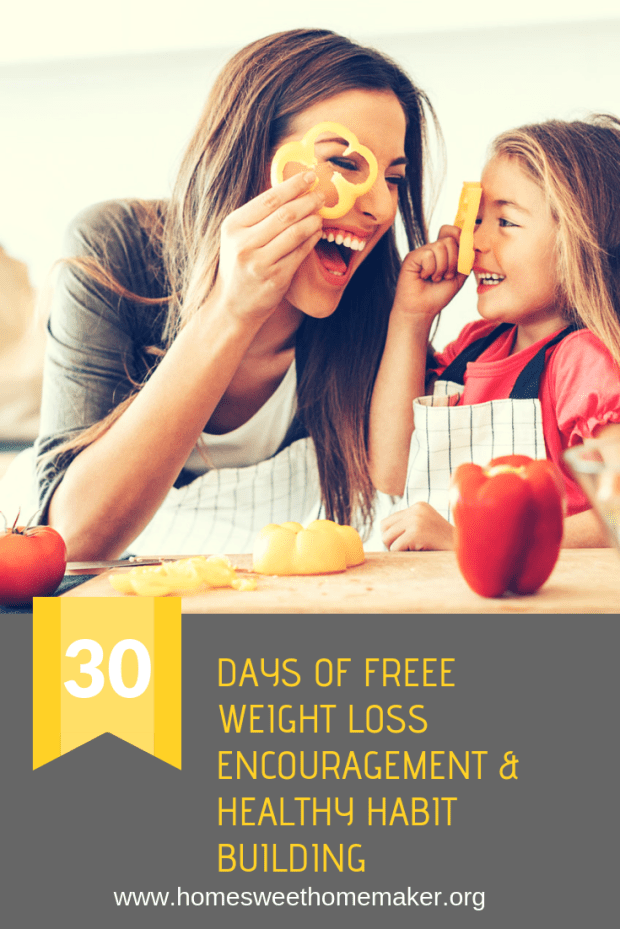 busy mom lifestyle life change habits new healthy how to lose weight as a mother make new choices program free weight loss exercise easy fast encouragement advice hacks tips ideas
