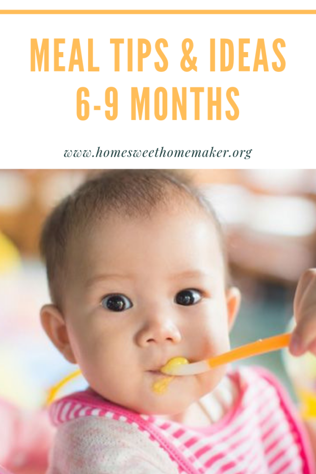 meal tips and ideas for 6-9 month old babies starting solids how to sample feeding schedule purees finger foods when to start what to feed my 6 month old 7 8 9 six seven eight nine months