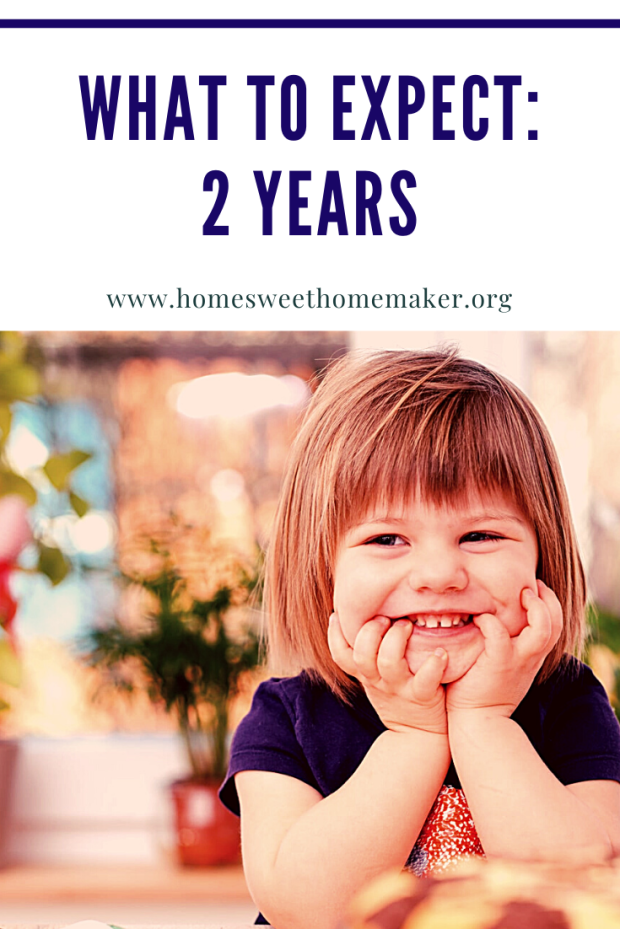 2 year old what to expect toddler mom life two years
